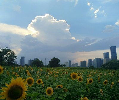 福建省福州市倉(cāng)山區(qū)蓋山鎮(zhèn)南江濱西大道