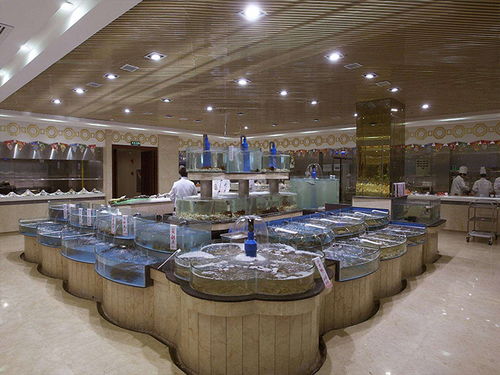 福州土建海鮮池 福州鑫宇玻璃海鮮池 福州土建海鮮池電話